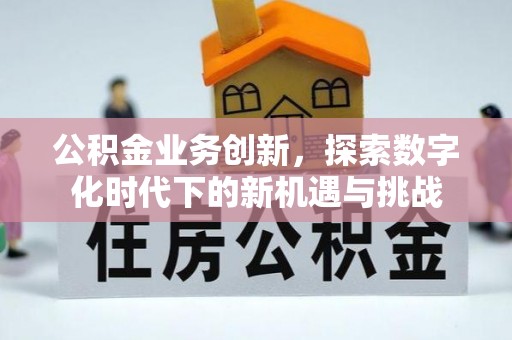 下营公积金业务创新，探索数字化时代下的新机遇与挑战