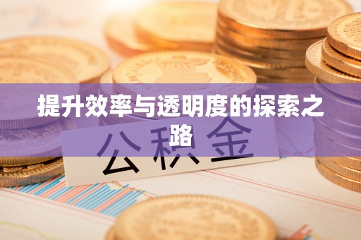 下营提升效率与透明度的探索之路