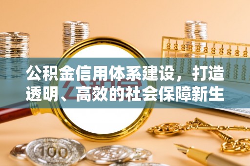 下营公积金信用体系建设，打造透明、高效的社会保障新生态